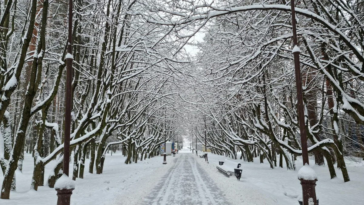 Albany Wintervermietungen Guide 2026